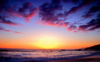 Summer wallpapers17